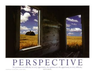 03-PS36-5~Perspective-Posters